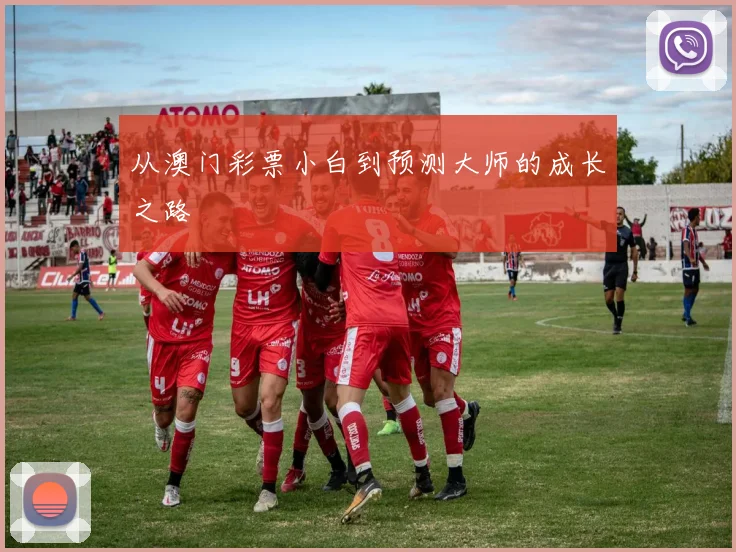 从澳门彩票小白到预测大师的成长之路