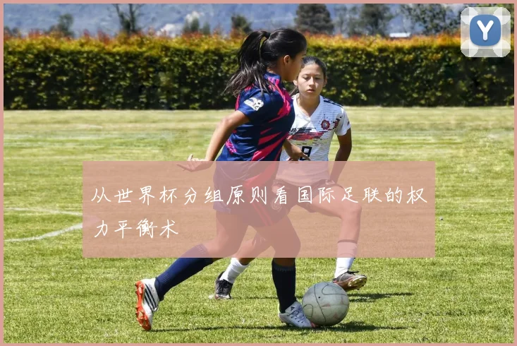 从世界杯分组原则看国际足联的权力平衡术